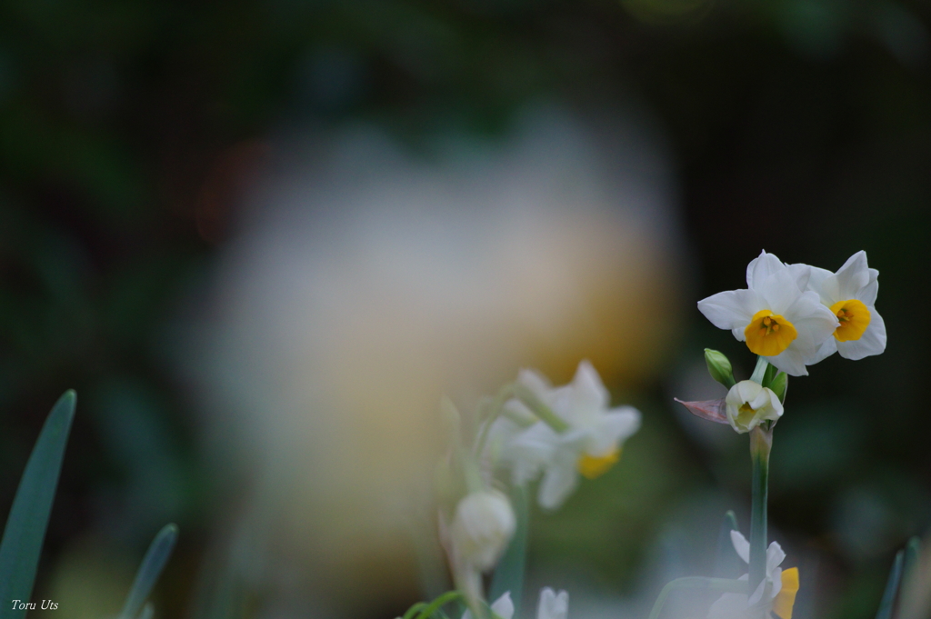 エールを奏でる♪