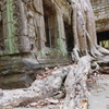 カンボジア アンコール遺跡 タ・プローム 有名な場所