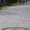 マンホールの蓋にいる花ずきんちゃん