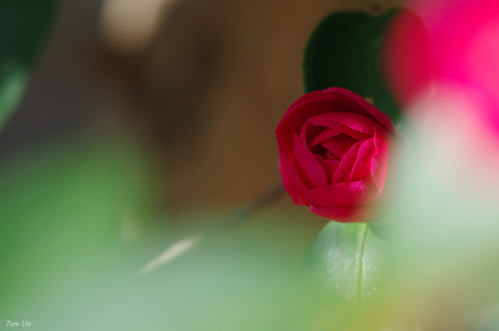 冬陽のステージへスタンバイ