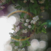 花幻
