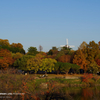 錦秋色の近所の公園