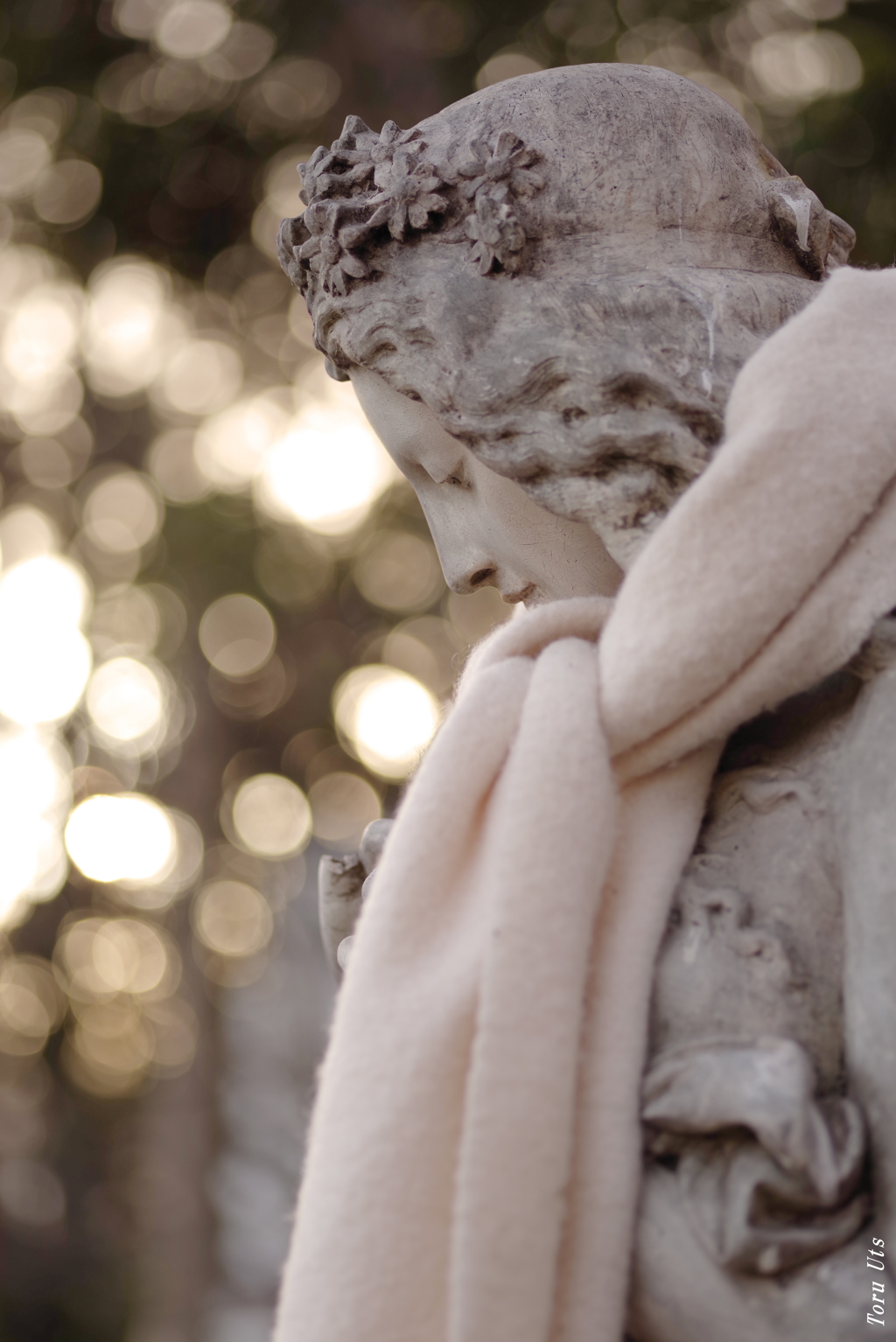 冬の冷たさより光と心の温もり