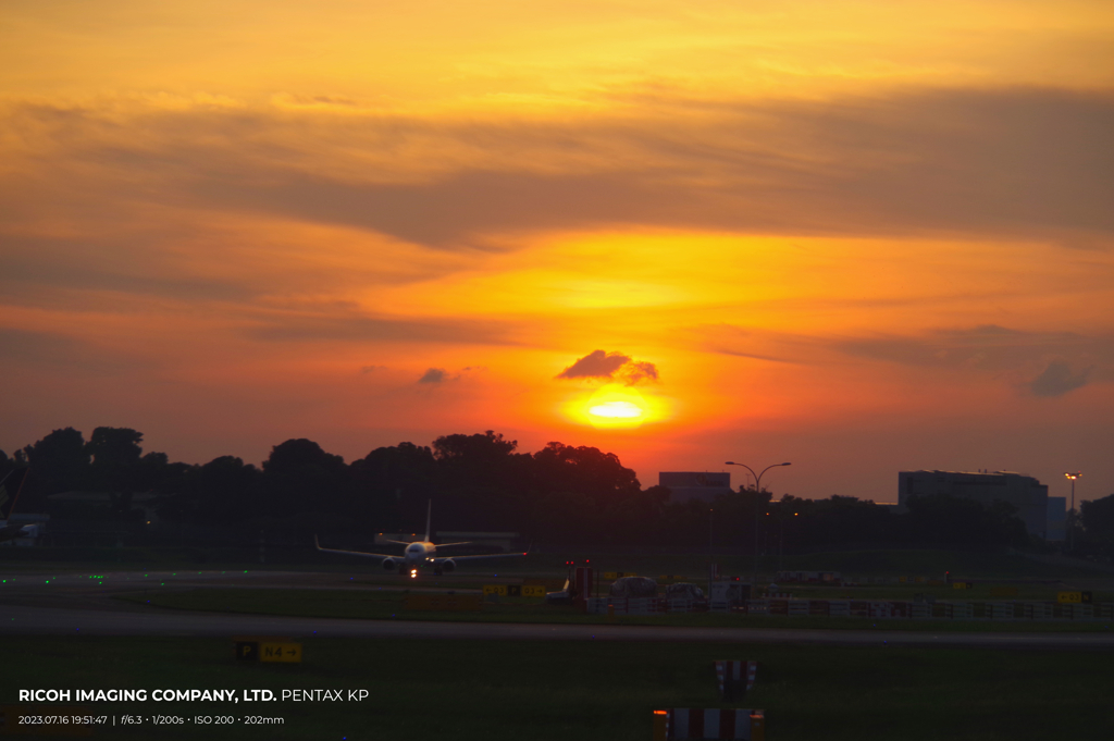 チャンギ国際空港　夕景