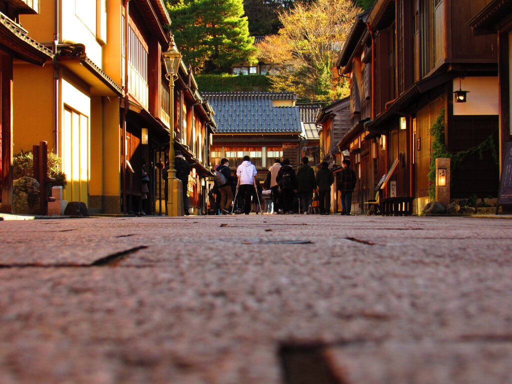 どうせなら路傍の石になりたかった
