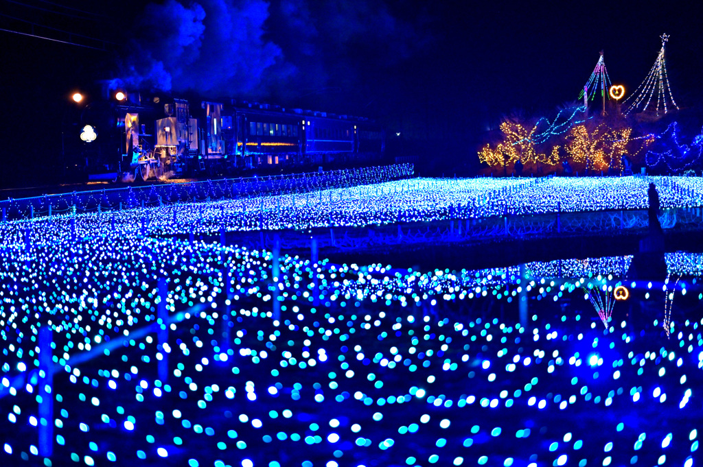 光の海原を行く大樹207