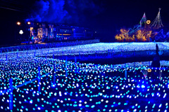 光の海原を行く大樹207