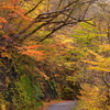 紅葉散策、国道291号線