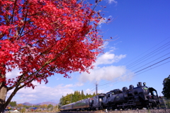 モミジとSL大樹