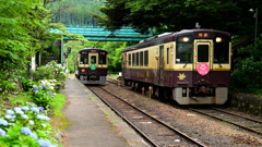 沢入駅の夏