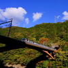 嵯峨野トロッコ列車と交差する山陰本線