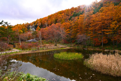 鬼の相撲場　秋場所１