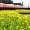 春は来ぬ
