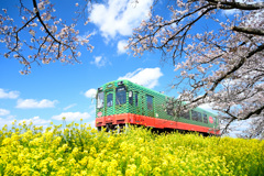 春・真岡鉄道