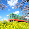 春・真岡鉄道