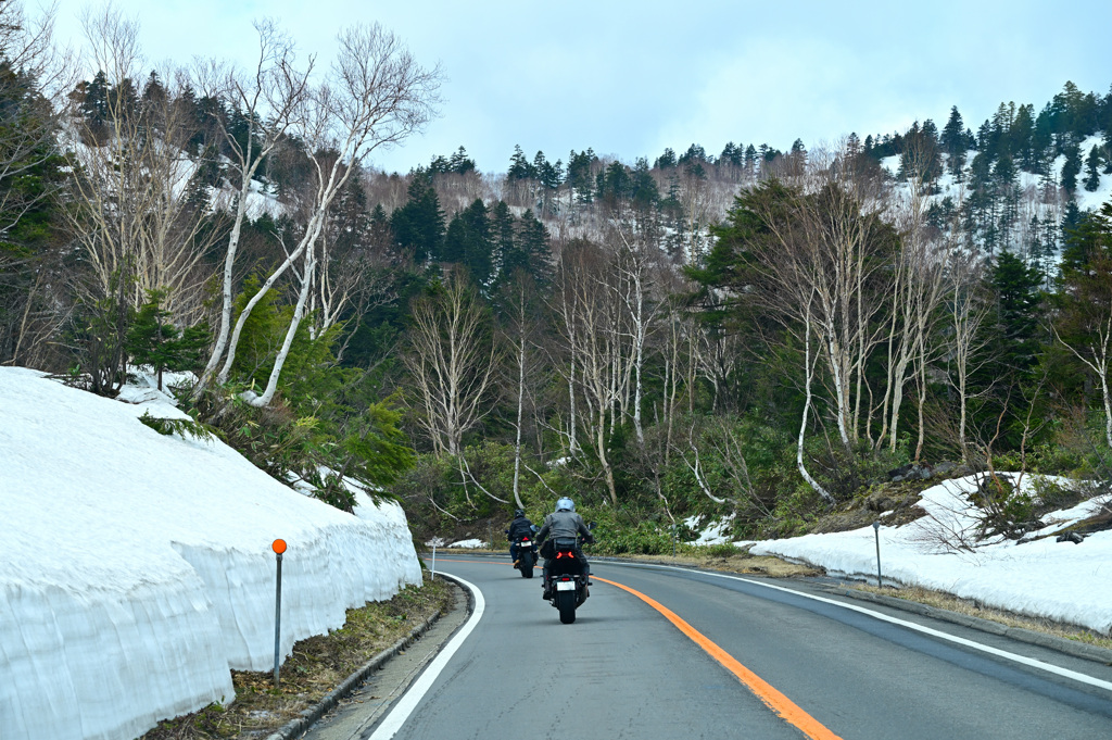 残雪の志賀草津高原ルート