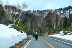 残雪の志賀草津高原ルート