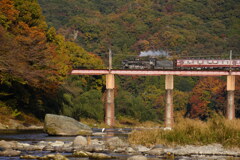 秋の荒川橋梁