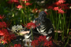 曼珠沙華の中で問う