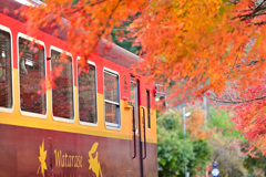 紅葉のわ鉄３