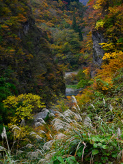 峡谷の秋