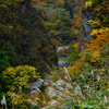 峡谷の秋