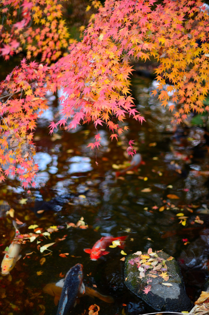 筑西の小京都２