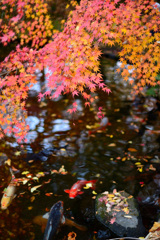 筑西の小京都２