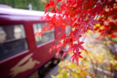 うさぎ駆ける紅葉駅