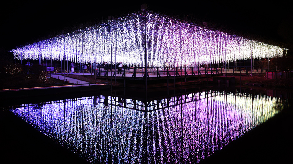 光のふじのはな物語