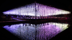 光のふじのはな物語