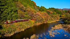 紅葉を行くわ鉄トロッコ３