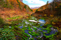 紅葉のチャツボミコケ公園