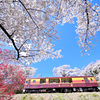 わ鉄の春２_桜の宴