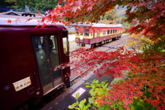 あか金と紅葉