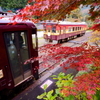あか金と紅葉