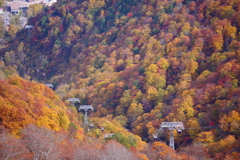 谷川岳ロープウェイ１