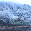 雪景色の第一渡良瀬川橋梁①