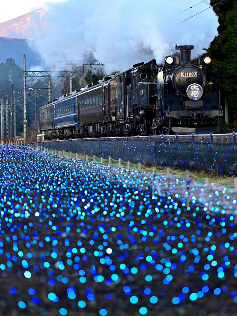 倉ケ崎イルミネーション点灯