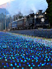 倉ケ崎イルミネーション点灯