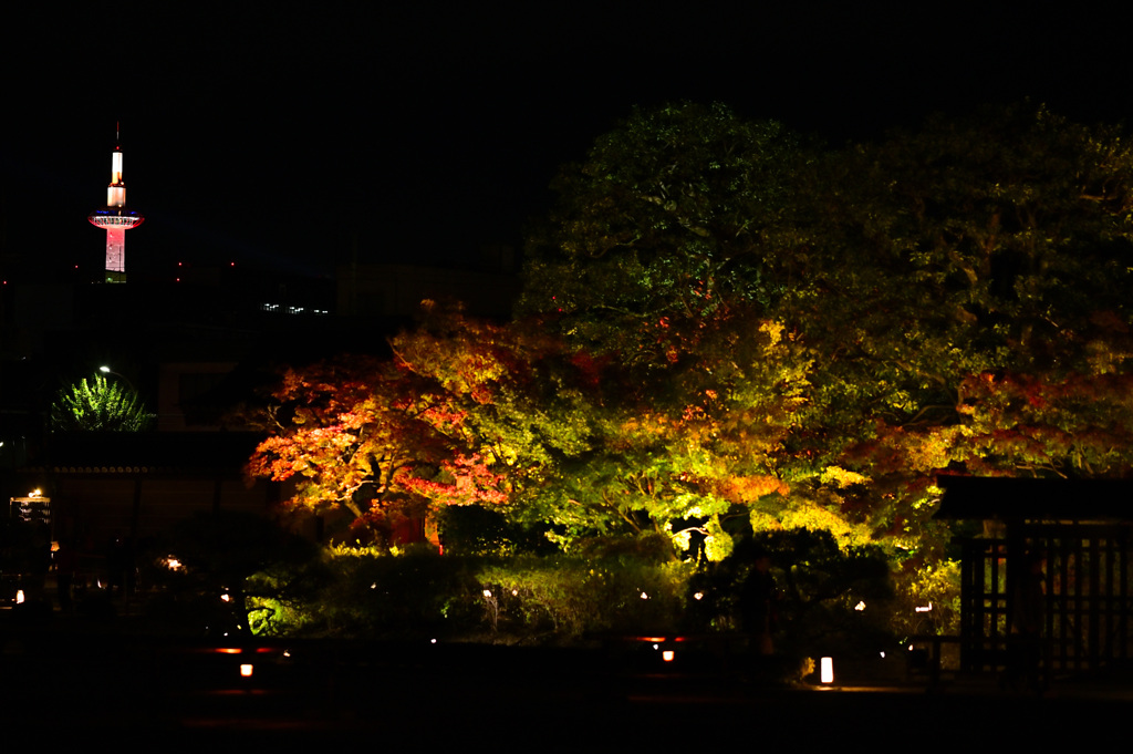 紅葉の東寺より望む京都タワー