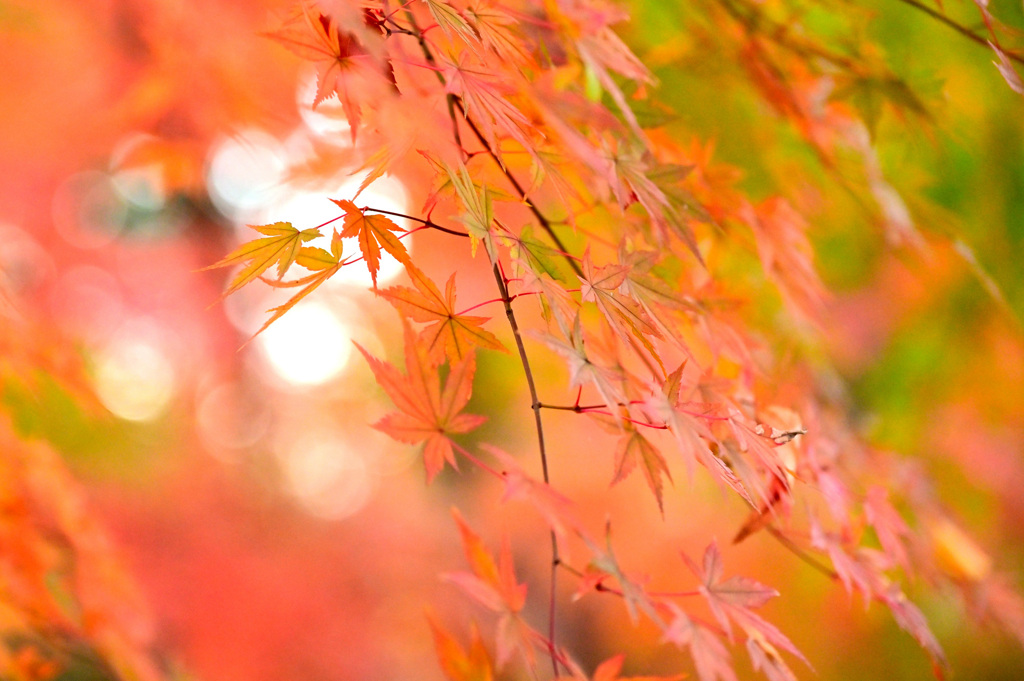 筑西の小京都３