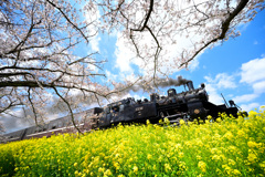 春・SL真岡