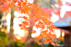 筑西の小京都１