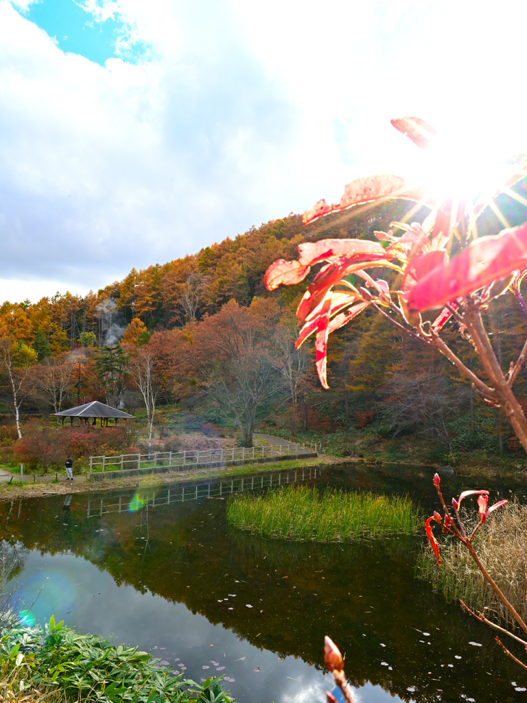 鬼の相撲場　秋場所２