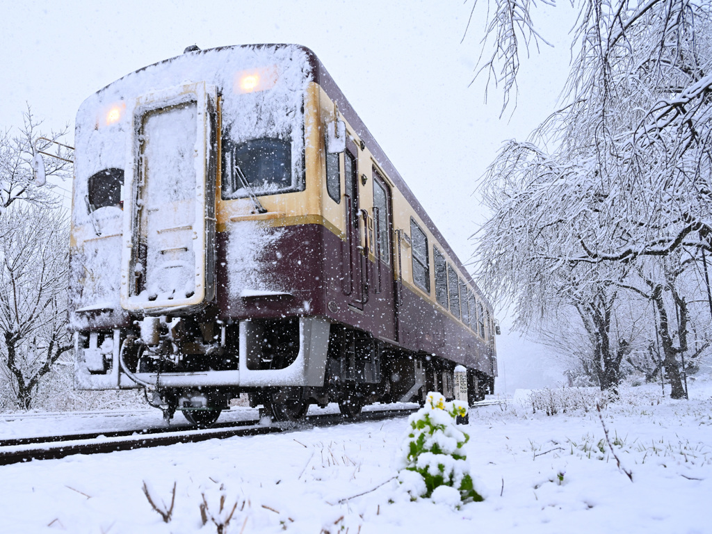 雪に負けるなよ