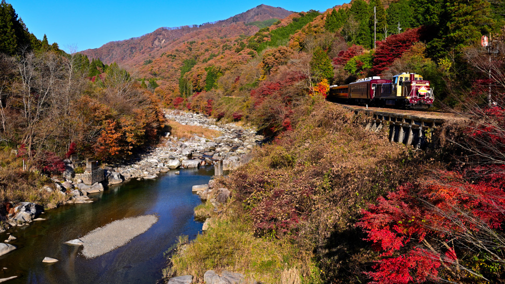 紅葉を行くわ鉄トロッコ２