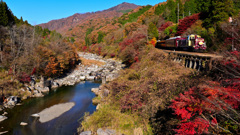 紅葉を行くわ鉄トロッコ２