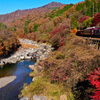紅葉を行くわ鉄トロッコ２