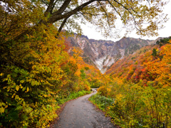 一の倉沢への道